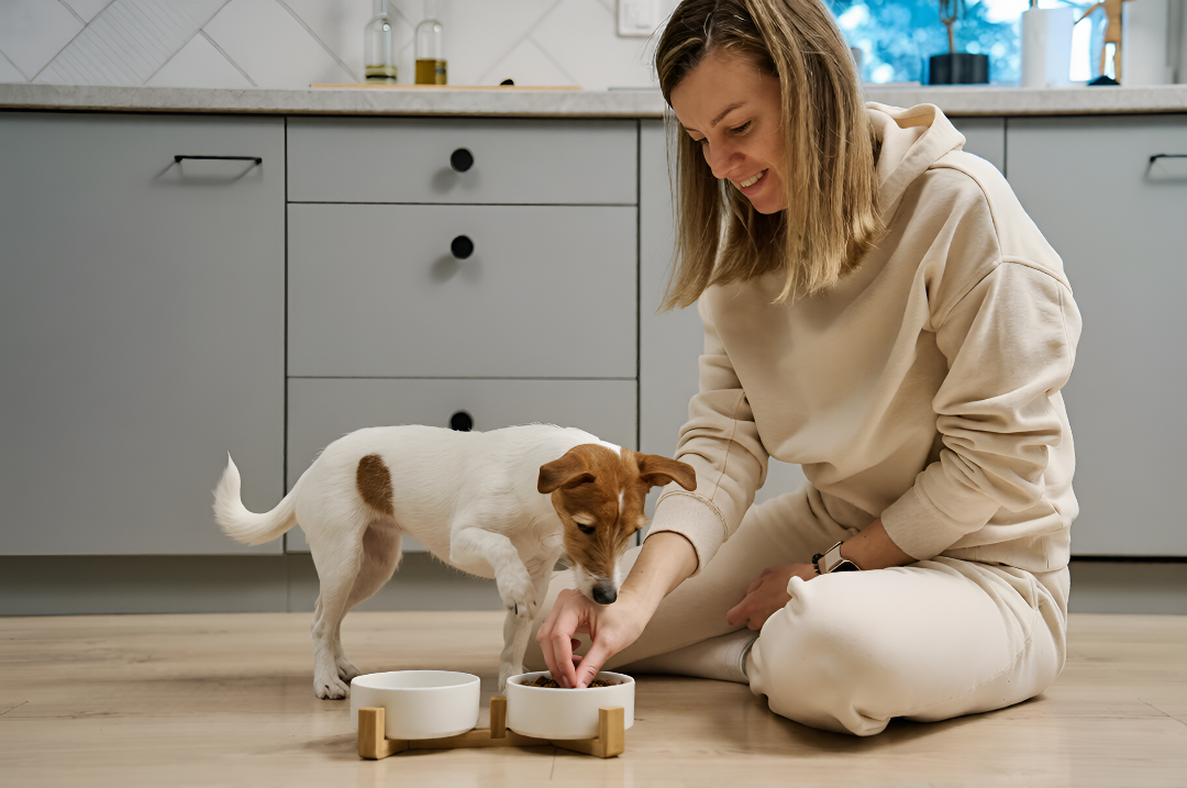 Simple Pet Feeding Tips For Better Nutrition