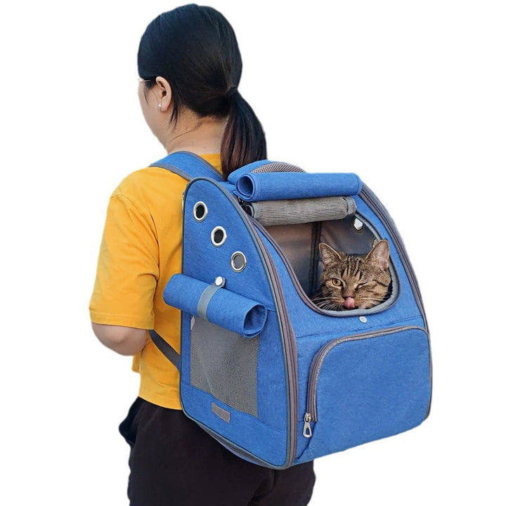 Explore the World with Your Pet: The Ultimate Travel Companion