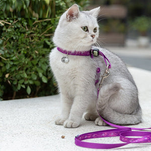 Discover the Perfect Companion: Pet Bell Chest Strap Haulage Rope Vest Leash