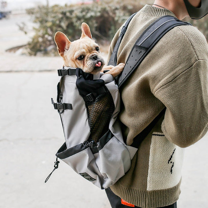 Discover the Ultimate Pet Backpack Travel Carrier