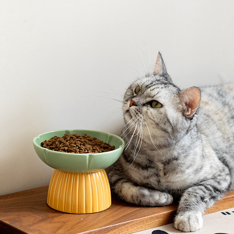 The Ultimate Feeding Experience for Your Feline Friend